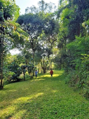 Foto 2: Sítio à venda com 100.000 m2, com lago, Bairro Moinho, Campo Limpo Paulista, SP