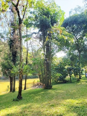 Foto 4: Sítio à venda com 100.000 m2, com lago, Bairro Moinho, Campo Limpo Paulista, SP