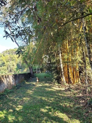 Foto 5: Sítio à venda com 100.000 m2, com lago, Bairro Moinho, Campo Limpo Paulista, SP