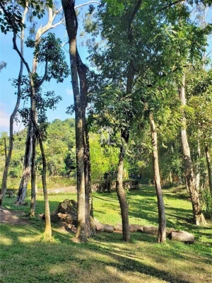 Foto 6: Sítio à venda com 100.000 m2, com lago, Bairro Moinho, Campo Limpo Paulista, SP