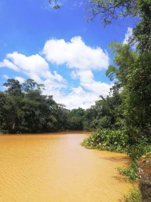 Foto 7: Sítio à venda com 100.000 m2, com lago, Bairro Moinho, Campo Limpo Paulista, SP