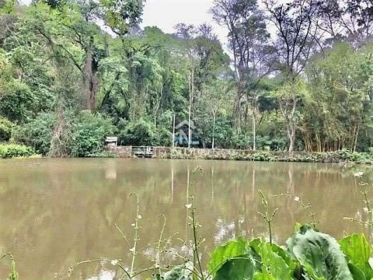 Foto 9: Sítio à venda com 100.000 m2, com lago, Bairro Moinho, Campo Limpo Paulista, SP