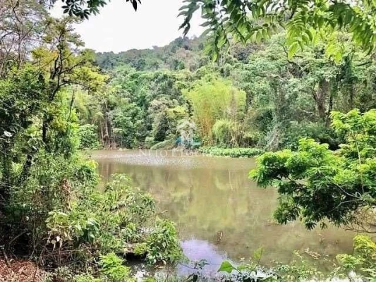 Foto 10: Sítio à venda com 100.000 m2, com lago, Bairro Moinho, Campo Limpo Paulista, SP