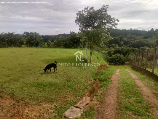 Foto 9: Chácara à Venda em Jarinu/SP – Tranquilidade e Espaço para Laze