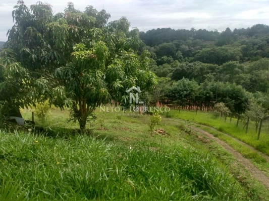 Foto 21: Chácara à Venda em Jarinu/SP – Tranquilidade e Espaço para Laze