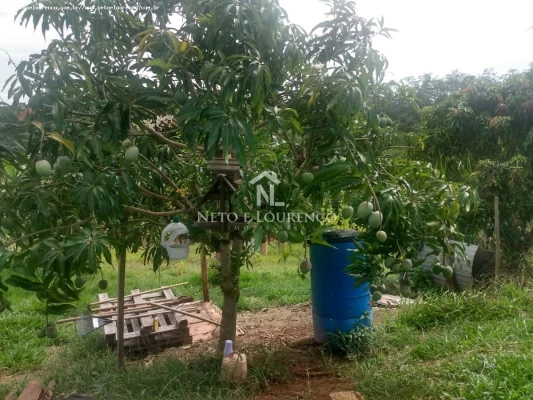 Foto 23: Chácara à Venda em Jarinu/SP – Tranquilidade e Espaço para Laze