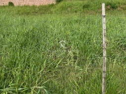 Imagem Terreno à venda, Cidade Nova, Jundiaí, SP