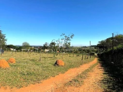 Imagem Terreno com 10.000m2 para locação, Bom Jardim, Jundiaí, SP