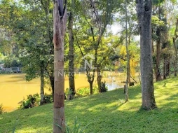 Imagem Sítio à venda com 100.000 m2, com lago, Bairro Moinho, Campo Limpo Paulista, SP